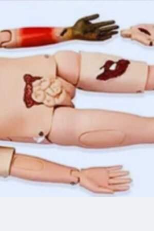 advanced trauma nursing care manikin advanced trauma care for nurses advanced cpr training manikin advanced trauma centre advanced trauma care manikin trauma care management pdf trauma nursing manikin b.sc trauma care management course details advanced trauma nursing course trauma care management course trauma care management meaning in tamil advanced trauma manikin nursing care trauma and emergency edapt advanced nursing manikin g d a nursing advanced trauma care for nurses pdf advanced trauma care for nurses student manual jee advanced training pediatric trauma management advanced-trauma-care-nurses trauma care management salary trauma care management trauma care nursing nursing care training manikin