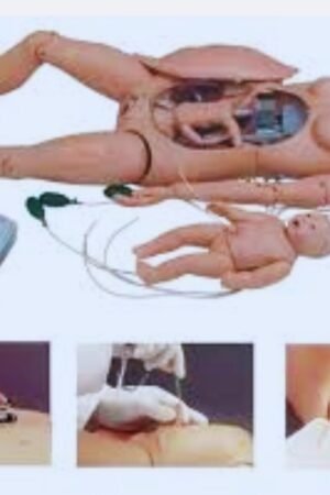 advanced delivery and maternal advanced delivery and maternal and neonatal emergency simulator advanced maternal age labor and delivery advanced maternal age delivery timing when to deliver advanced maternal age is advanced maternal age high risk delivery advanced maternal age advanced maternal age delivery recommendations advanced maternal age early delivery advanced maternal age and early delivery c section advanced maternal age advanced delivery maternal and neonatal emergency simulator what is a safe early delivery delivery in advanced maternal age advanced maternal age and induction advanced maternal age pregnancy induction advanced delivery unit advanced maternal age gravida definition advanced maternal and fetal care advanced maternal age and postpartum depression advanced maternal age doctor advanced maternal care advanced maternal age recommendations ultrasound advanced maternal age advanced maternal ultrasound advanced delivery unit nemours very advanced maternal age advanced maternal age 37 35 advanced maternal age