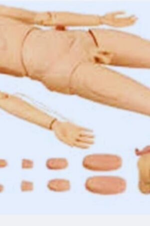 multi functional nursing manikin trusim multi functional nursing manikin male trusim multi functional nursing manikin multi functional nursing manikin male multi function massager manik nursing home batala nursing manikin suppliers multi functional multifunctional nursing manikin female full-body nursing mannequin multi nursing nursing manikin price what is multidimensional care in nursing multifunctional nursing multi functional trauma care manikin nursing mannequin price