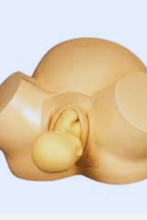 vacuum delivery model vacuum delivery procedure vacuum method of delivery types of vacuum delivery is vacuum delivery normal what is the vacuum delivery vacuum delivery machine vacuum delivery pdf vacuum model vacuum delivery system vacuum delivery notes vacuum delivery definition vacuum delivery prerequisites vacuum delivery vs normal delivery vacuum delivery charges delivery vacuum pump vacuum delivery technique forceps delivery and vacuum delivery difference between ft vacuum delivery full vacuum design pressure lg vacuum cleaner motor lg vacuum cleaner demo lg vacuum cleaner motor price lg vacuum cleaner and mop lg vacuum cleaner old models vacuum delivery slideshare is vacuum delivery a normal delivery is vacuum delivery dangerous vacuum delivery indication vacuum delivery with rmle vacuum in delivery vacuum delivery instrument vacuum delivery means vacuum delivery pressure vacuum delivery ppt is vacuum delivery safe for baby is vacuum delivery painful